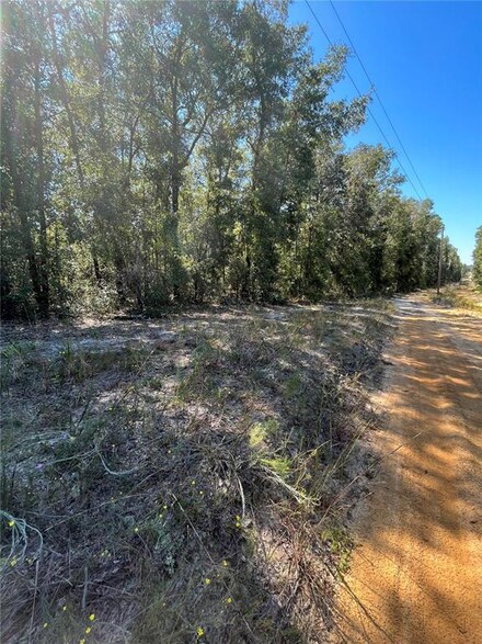 TBD Windy Hills Rd, Hawthorne, FL 32640