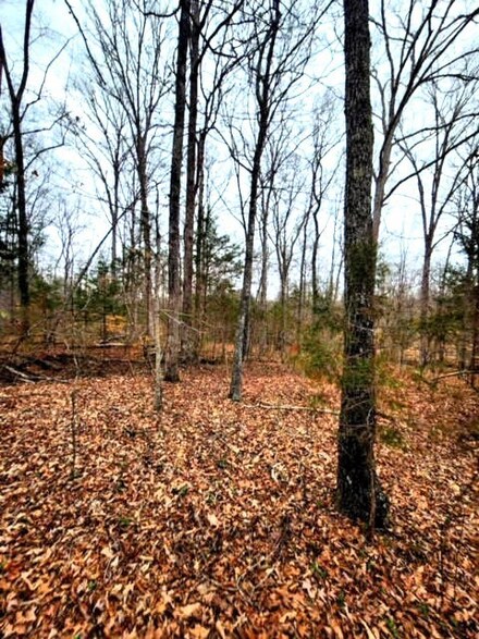 0 Elm St Unit RTC2636533, Parsons, TN 38363