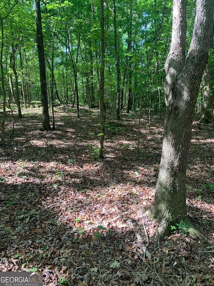 7700 Poole Cir Unit TRACT A, Alto, GA 30510