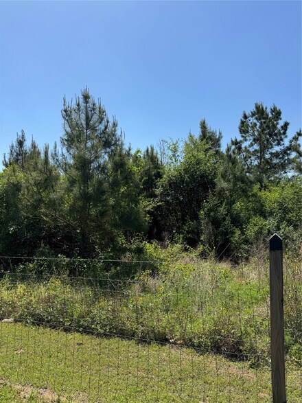 0 Jasperwood St, Waller, TX 77484