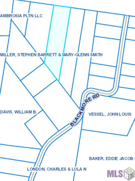 Lot D-7 Blackmore Rd, Saint Francisville, LA 70775