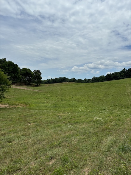 0 John Brinkley Rd, Shelbyville, TN 37160