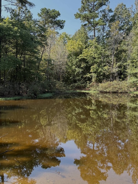 1230 Lagrange Rd, Mathiston, MS 39752