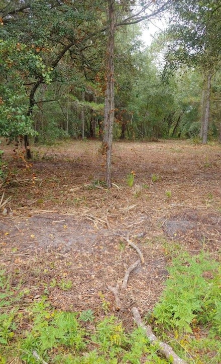 0 NE 148th Terrace Rd, Fort McCoy, FL 32134