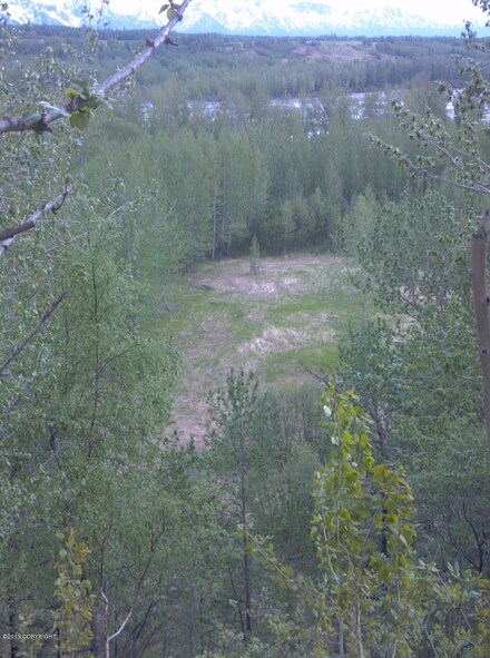 7875 N Glenn Hwy, Palmer, AK 99645