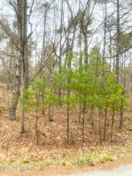 484 Eastwood Cir, Lackawaxen Township, PA 18428