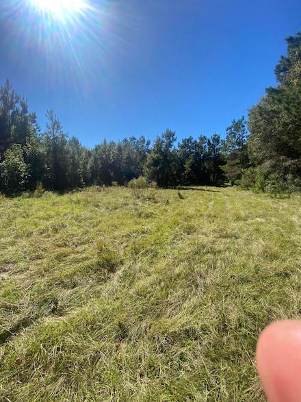 259 Interstate View Dr, Ridgeville, SC 29472