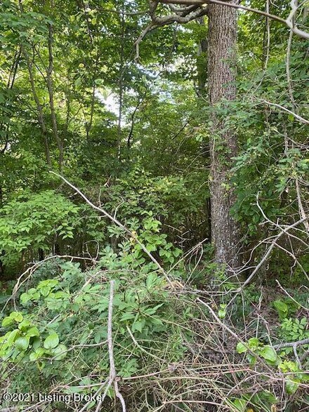 0 Sassafras Dr, Clarkson, KY 42726