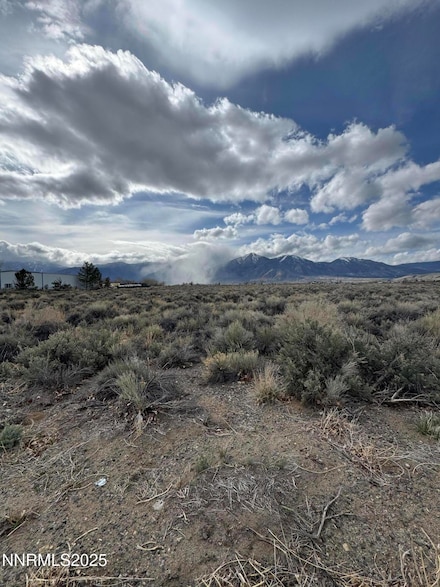 2590 Nowlin Rd, Minden, NV 89423