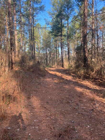 2 Poplar Springs Rd, Wagener, SC 29164