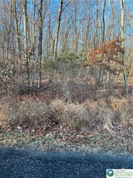 3 Apple Ln Unit 588, Albrightsville, PA 18210