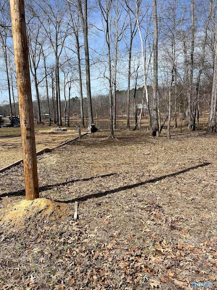 10 County Road 182, Cedar Bluff, AL 35959