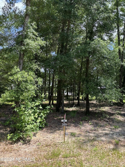 3718 Barnesmore Dr, Castle Hayne, NC 28429
