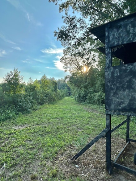 0 Red Bluff Church Rd Unit 21126096, Soperton, GA 30457