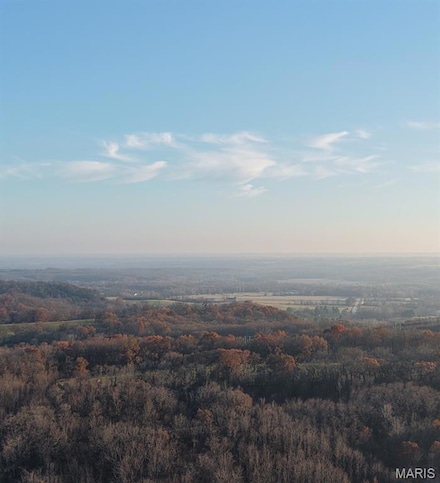 58079 Dow Trail Tract 2, Hannibal, MO 63401