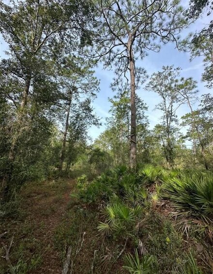 0 SW 155th St Unit MFRGC520082, Dunnellon, FL 34432