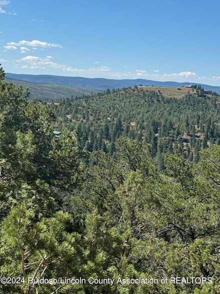 L10C Flute Player Way, Alto, NM 88312