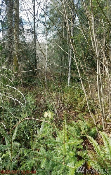 2 Shadowbrooke Ln, Port Hadlock, WA 98339
