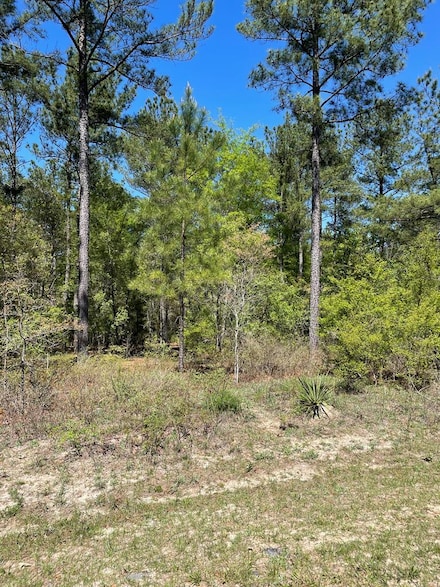 0 Creek Indian Trail Unit 27753, Dublin, GA 31021
