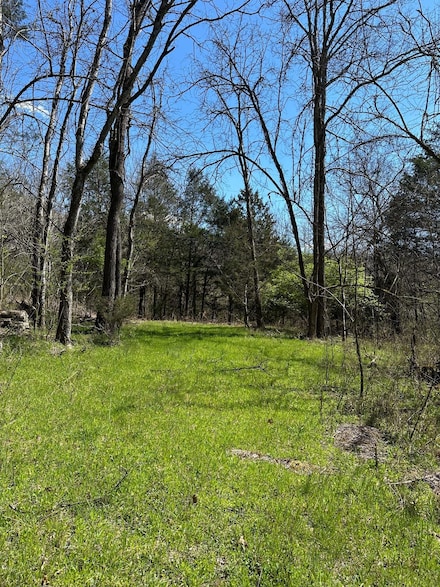 0 Ben Gentry Ln Unit 23220617, Elmwood, TN 38560