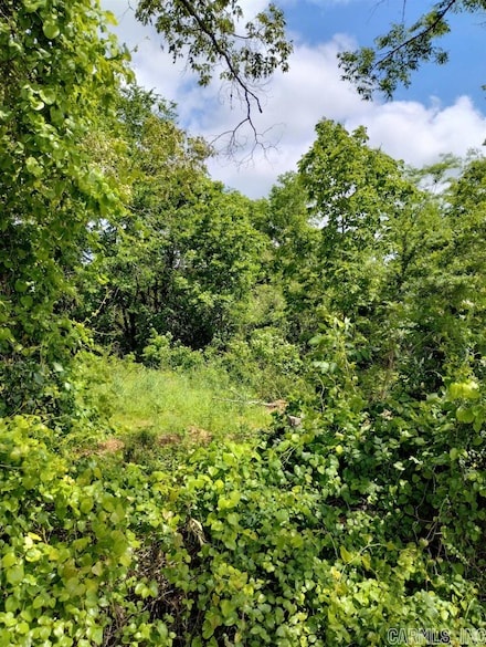 1 C R 43, Glenwood, AR 71943