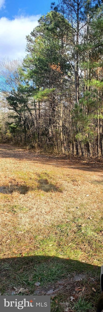 Lot #10 14th St Estates, Colonial Beach, VA 22443