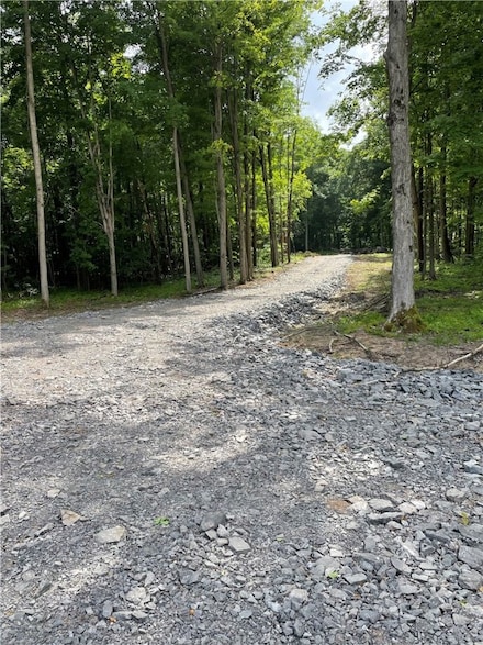 000 McNamar Rd, Barre, NY