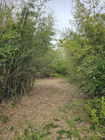 2920 Avenue Q, San Leon, TX 77539