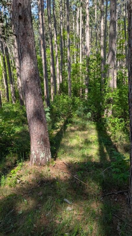 3823 County Road 17, Pequot Lakes, MN 56472