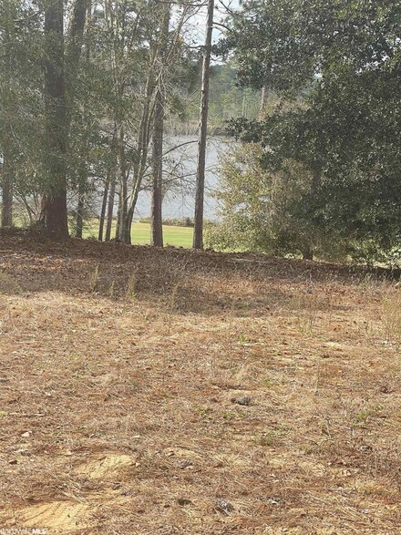 Lot 11 E Waterview Dr, Loxley, AL 36551