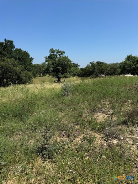 4602 Fm 1107, Stockdale, TX 78160