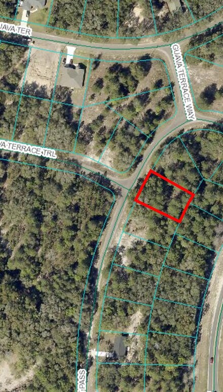 0 Guava Terrace Trail, Ocklawaha, FL 32179