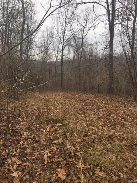 0 Highway W, Ironton, MO 63650