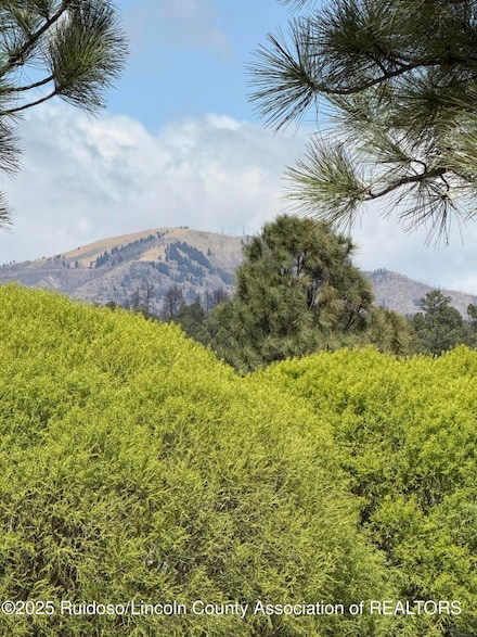 108 Don Snyder Dr, Ruidoso, NM 88345
