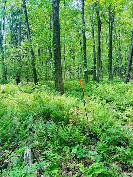 123 U S 5, Westminster, VT 05158