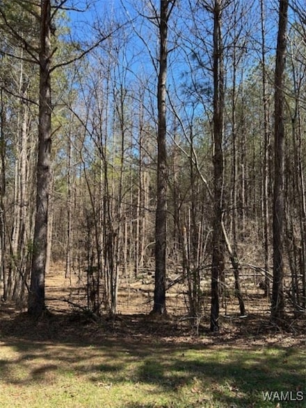 0 Kensington Blvd Unit 167807, McCalla, AL 35111