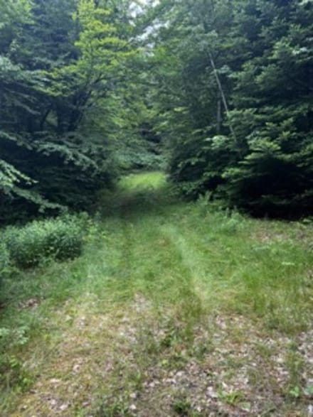 196 Old Pound Rd, Effingham, NH 03882