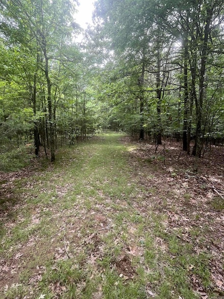 83 Acres Greene Road 402, Lafe, AR 72436