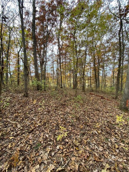 10 Big Tom Ct, Hawk Point, MO 63349