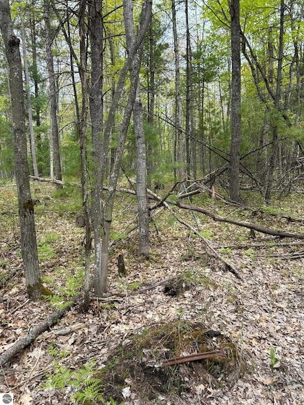 0 Muncie View Trail Unit B 1934562, Traverse City, MI 49696