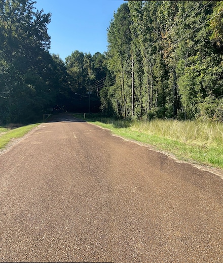 0 Brister Dr, Winona, MS 38967