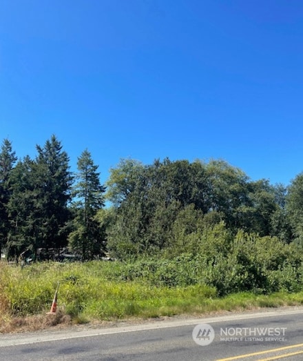 0 XXX Henkle (Hwy 6) St, Raymond, WA 98577