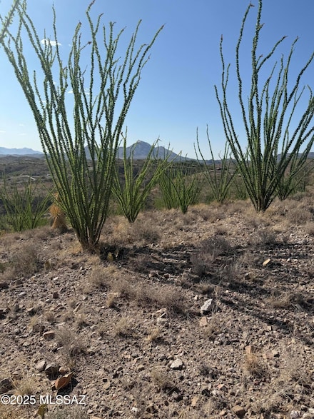 467 Brizza Bonell Unit 41, Rio Rico, AZ 85648