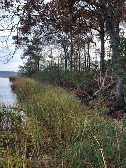 Lot 7 Lucas Trail Unit 7, MacHipongo, VA 23405
