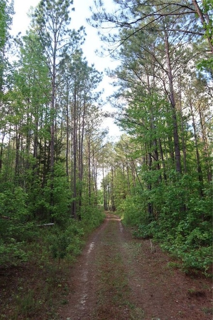 1401 Glassy Mill Rd, Auburn, AL 36830
