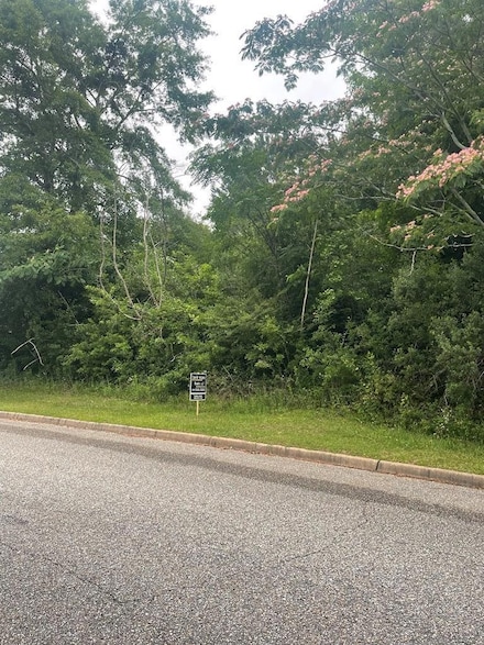 0 Ingram Dr, Troy, AL 36079