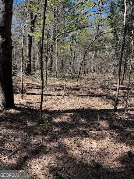 2000 Buckeye Rd, Tennille, GA 31089