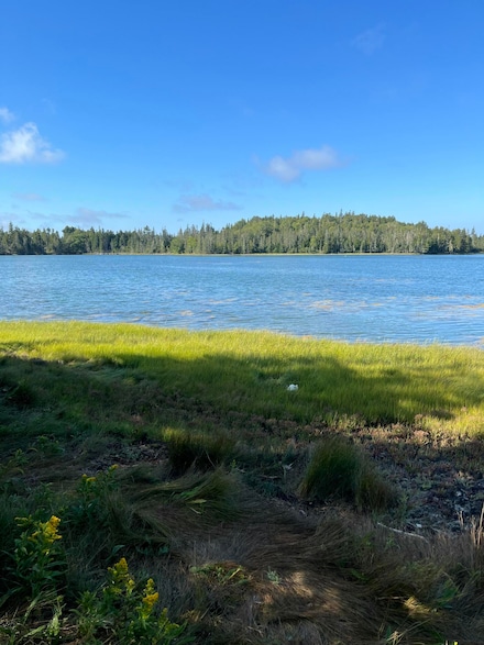 Lot #1 Southern Harbor Cove, North Haven, ME 04853