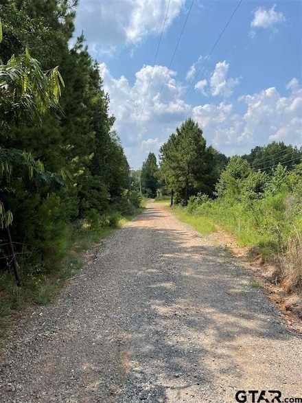 000 Locker Plant Rd, Gladewater, TX 75647