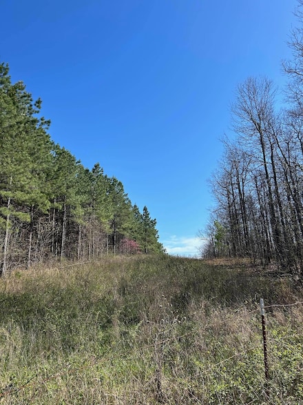 1 Rex Rd, Clinton, AR 72031